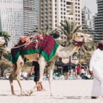 Achieving the Right Work-life Balance in Dubai