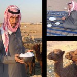 Camel Milk Ice Creams to hit markets soon