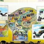 Dubai Safari Map