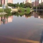 Nakheel is to blame for flooding in Discovery Gardens