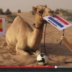 Shaheen the Camel predicts World Cup